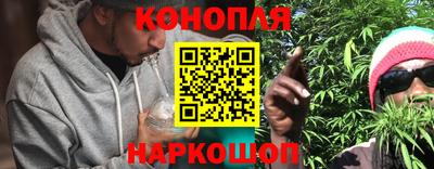 Альфа ПВП Ливны