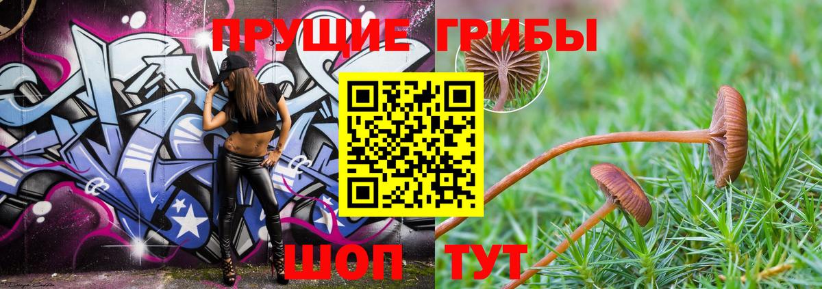 Псилоцибиновые грибы Psilocybine cubensis  что такое наркотик  Галлюциногенные грибы Magic Shrooms  Ейск  Вход с VPN 